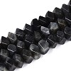 Natural Larvikite Beads Strands G-N327-05-28-4