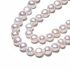 Natural Cultured Freshwater Pearl Beads Strands PEAR-N014-07B-4