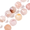 Natural Cherry Blossom Agate Beads Strands G-G182-B41-03-2