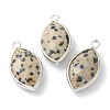 Natural Dalmatian Jasper Pendants G-B009-01P-B-1