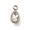 304 Stainless Steel Pendants STAS-Q346-04P-04-1