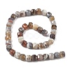 Natural Botswana Agate Beads Strands G-C267-A07-3