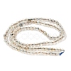 Natural Agate Beads Strands G-H302-A04-01-4