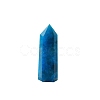 Point Tower Natural Apatite Home Display Decoration PW-WG91959-02-5