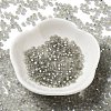 8/0 Glass Seed Beads SEED-Z001-C-E13-2
