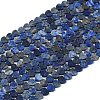 Natural Lapis Lazuli Beads Strands G-M403-A43-02-5