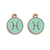 Alloy Enamel Pendants ENAM-S124-01A-15H-1