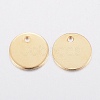 304 Stainless Steel Charms STAS-H436-66-6mm-2