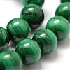 Grade A Natural Malachite Bead Strands G-O143-10-8mm-3