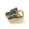 Brass Micro Pave Cubic Zirconia Charms KK-U046-16G-01-2