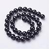 Natural Black Onyx Round Beads Strands GSR10mmC097-3