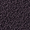 MIYUKI Round Rocailles Beads X-SEED-G007-RR0497-3