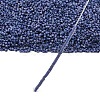 MIYUKI Delica Beads LS-X-SEED-J020-DB2319-4