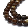 Natural Garnet Beads Strands G-E576-10A-3