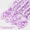 304Pcs 2-Hole Glass Seed Beads SEED-NB0001-70-5