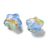 Gradient Color Transparent Hand-drawed Acrylic Beads TACR-P012-01B-10-2