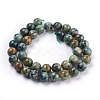 Natural African Turquoise(Jasper) Beads Strands TURQ-G037-10mm-2