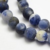 Natural Sodalite Beads Strands G-J364-01-8mm-3