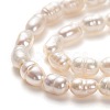 Natural Cultured Freshwater Pearl Beads Strands X-PEAR-J005-60-2