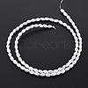 Natural Freshwater Shell Beads Strands SHEL-N027-08A-3