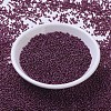 MIYUKI Round Rocailles Beads X-SEED-G007-RR0313-2