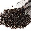 TOHO 8/0 Round Beads X-SEED-TR08-2205-1