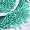 MIYUKI Delica Beads SEED-J020-DB0627-1