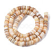 Natural Freshwater Shell Beads Strands SHEL-Q025-001-2