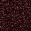 MIYUKI Round Rocailles Beads SEED-G009-RR0419-3
