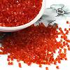 Transparent Glass Seed Beads SEED-S042-21B-04-1