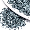 FGB 11/0 Grade A Baking Paint Glass Seed Beads X-SEED-S030-1040-1