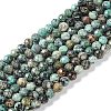 Natural African Turquoise(Jasper) Beads Strands G-N342-29B-1