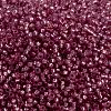 MIYUKI Round Rocailles Beads X-SEED-G009-RR0645-4