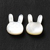 Natural White Shell Beads SHEL-G014-12-3