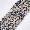 Natural Dalmatian Jasper Beads Strands G-S354-17-1