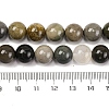 Natural Picture Jasper Beads Strands G-H037-A01-03-5