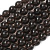 Natural Smoky Quartz Beads Strands G-C265-A01-10mm-02-2