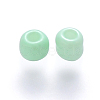 12/0 Baking Paint Glass Round Seed Beads SEED-S036-01A-02-2