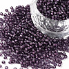 12/0 Grade A Round Glass Seed Beads SEED-N001-D-11/218-1