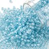 TOHO Round Seed Beads X-SEED-TR08-0976-1