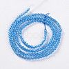 Glass Beads Strands EGLA-E057-02B-09-2