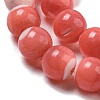 Dyed Natural Trochus Shell Beads Strands BSHE-G034-25A-4