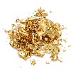 Foil Flakes X-DIY-E032-02C-3
