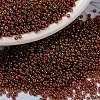MIYUKI Round Rocailles Beads X-SEED-G009-RR0301-1