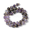 Natural Amethyst Beads Strands G-Q010-A07-01-3