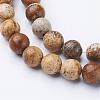Gemstone Beads Strands GSR016-2