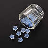 20Pcs Transparent Glass Beads GLAA-YW0001-08-2