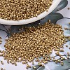 MIYUKI Delica Beads X-SEED-J020-DB1832F-1