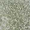 6/0 Transparent Inside Colours Glass Seed Beads SEED-N006-003B-3