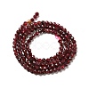 Natural Garnet Beads Strands X-G-I341-09B-3